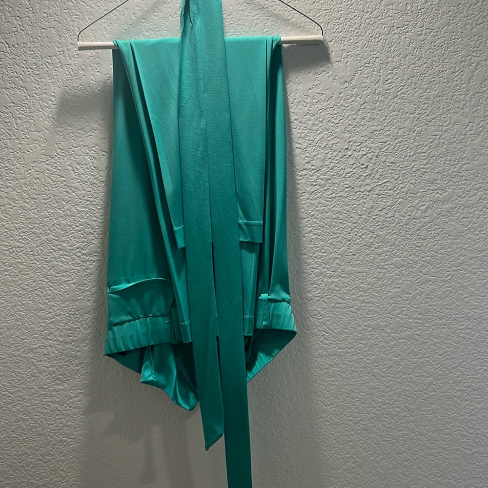 Seafoam green express pants
